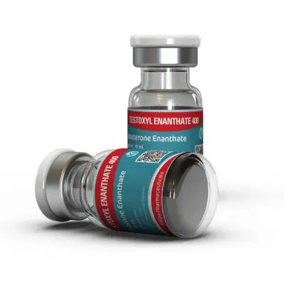 testoxyl-enanthate-400-mg-73659-s400.webp Kalpa Testoxyl Enanthate 400 MG
